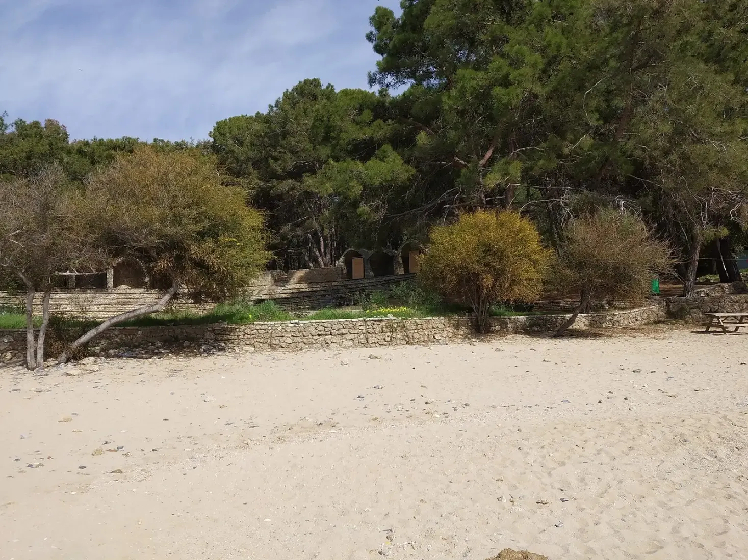 Zandstrand aan de rand van het dennenbos in natuurpark İncekum