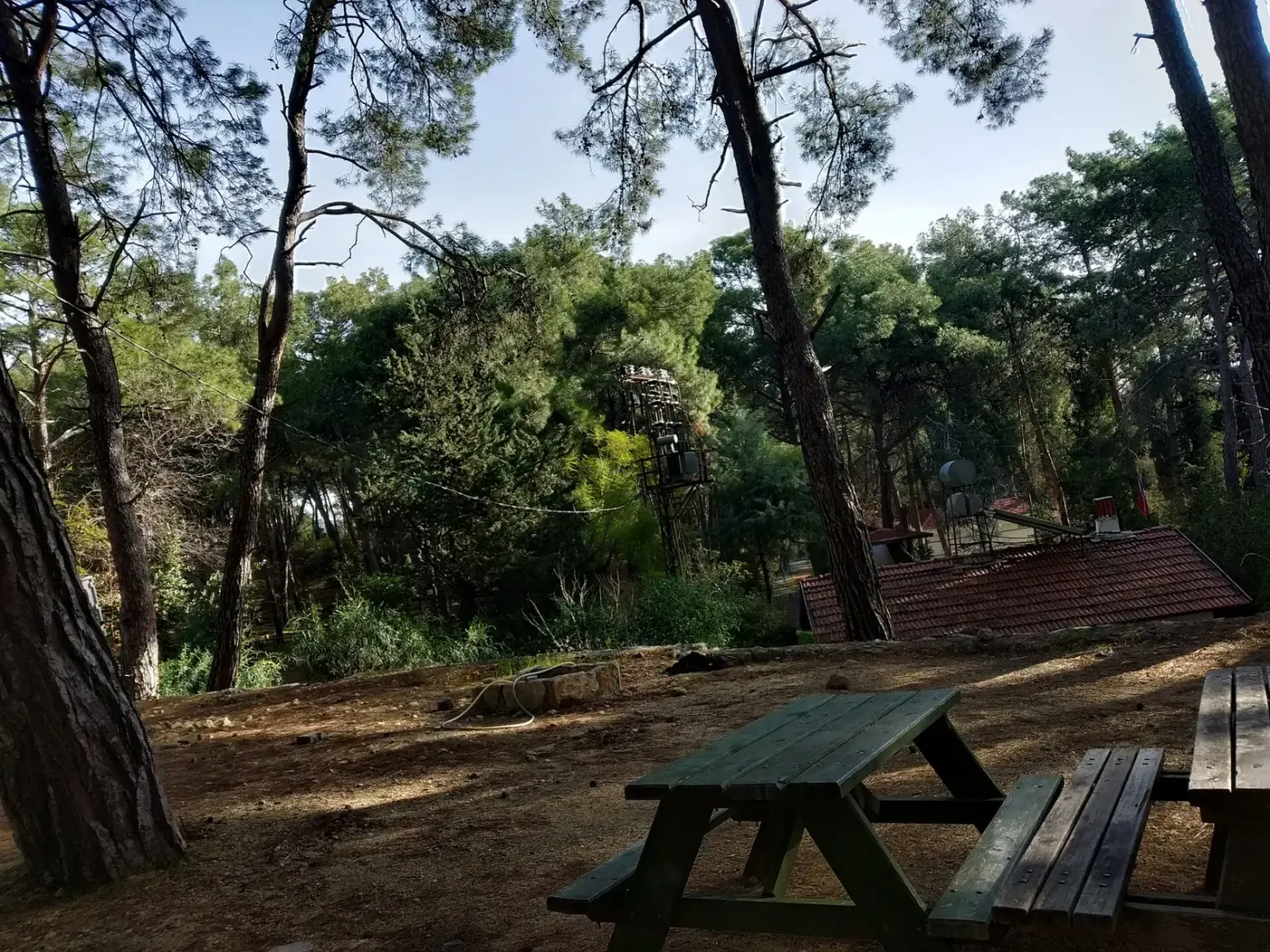Picknickplek onder hoge dennen in het İncekum natuurpark