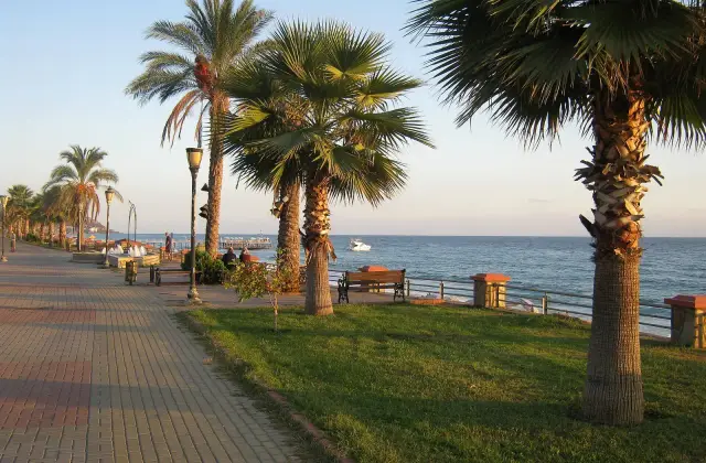 De palmenboulevard langs de zee in Mahmutlar in het late middaglicht